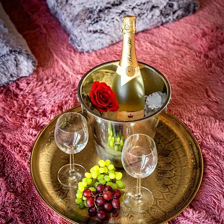 Premium Dog Appartement