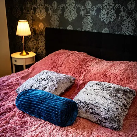 Premium Dog Apartment
