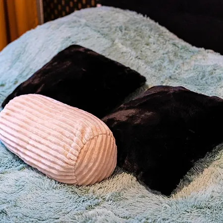 Premium Dog Appartement