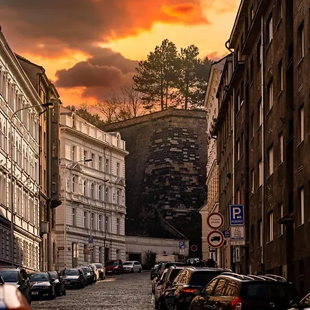 Premium Dog Praag